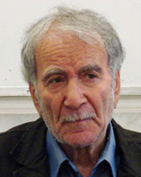 دکتر غلام حسين ابراهيمی دينانی