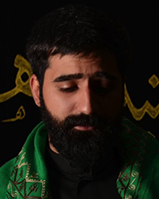 السيد حسين الطباطبائي