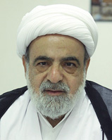 حجت الاسلام نجم الدين مروجى طبسى