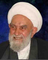 آيت الله محمد ناصری دولت آبادی