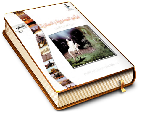 مدعو المهدوية والسفارة (من ١١ هـ إلى ٤١١ هـ)