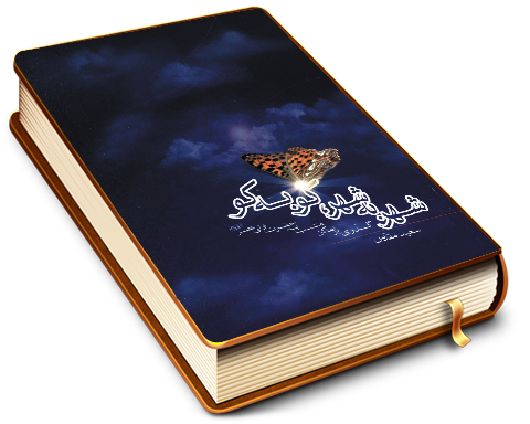 شهر به شهر کو به کو