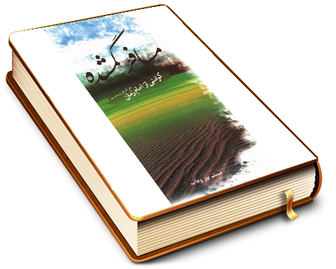 مسافر گمشده (کرامتی از امام زمان (عجّل الله فرجه))