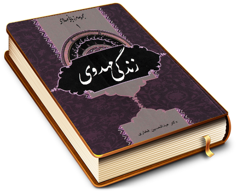 زندگی مهدوی (مجموعه مرزبانی مهدوی ۱)