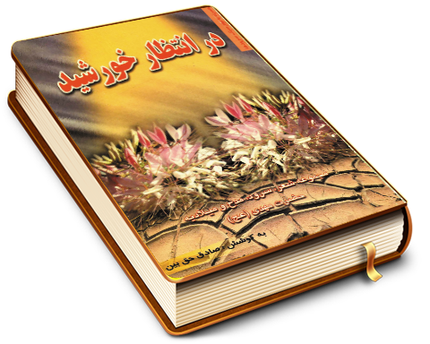 در انتظار خورشید (مجموعه شعر)