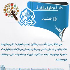 دائرة معارف الغيبة- ٢٤