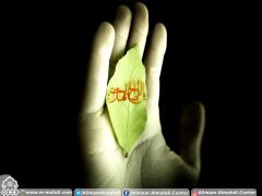 (٤١٨) يا أبا صالح