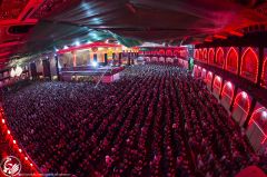 (١٧٩) صلاة الجماعة في صحن ابي الفضل العباس عليه السلام ليلة الأربعين