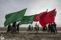 (٢٢٤) حمراءٌ وخضراء تلك هي رايات العشق الحسيني تسير مع العاشقين في زيارة الأربعين