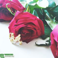 (٦٢٧) يا مهدي