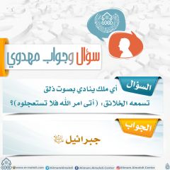 سؤال وجواب مهدوي- ٢٦٤