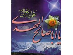 (١) يا ابا صالح المهدي