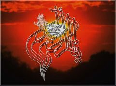 (١١) يا قائم آل محمد