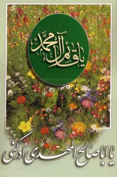 (١٨) يا ابا صالح المهدي ادركني