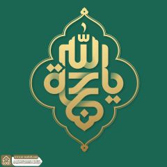 (٧٧٣) يا حجة الله