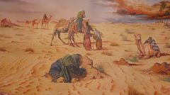 (٤٥٠) شوامخ تعود لأرض كربلاء