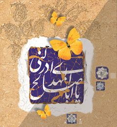 (١٧٨) يا ابا صالح المهدي ادركني