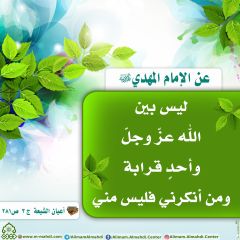 الأحاديث المهدوية- ٢٤