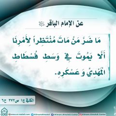 الأحاديث المهدوية- ٤١