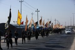 مواكب الرايات بصمة مميزة في مسيرة الأربعين