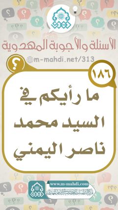 (١٨٦) ما رأيكم في السيد محمد ناصر اليمني