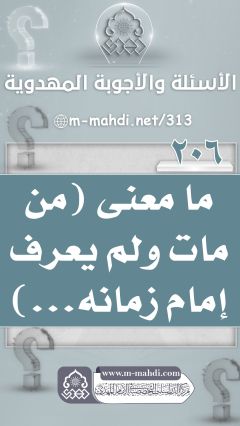 (٢٠٦) ما معنى (من مات ولم يعرف إمام زمانه...)