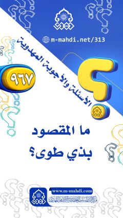 (٩٦٧) ما المقصود بذي طوى؟